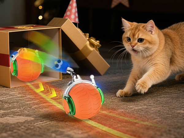 rolling cat toy