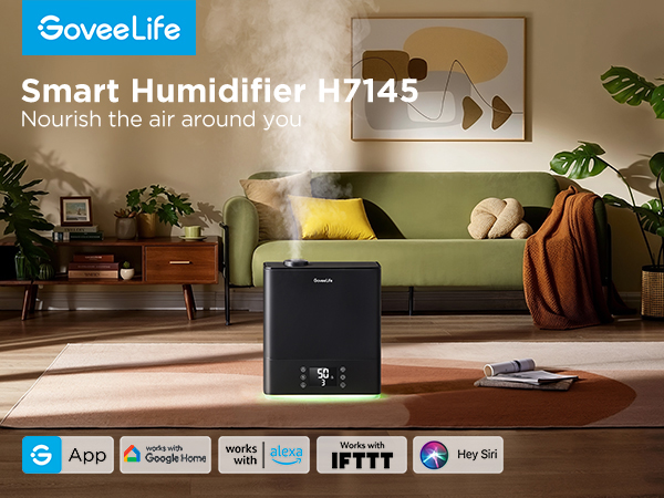 humidifier H7145