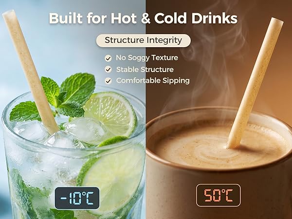 Colorful Drinking Straws