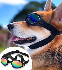 https://m.media-amazon.com/images/S/aplus-media-library-service-media/9a1509c6-8166-4b84-b32b-c269b0816f64.__CR0,0,800,900_PT0_SX200_V1___.jpg