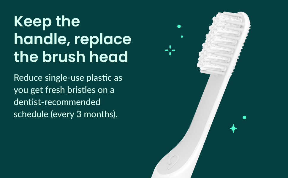 Keep the handle and replace the brush head every 3 months