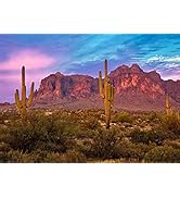 BELECO 7x5ft Fabric Arizona Desert Backdrop for Photography Western Party Decor Blue Sky Sand Dun...