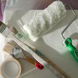 Painter Plastic Drop Cloths