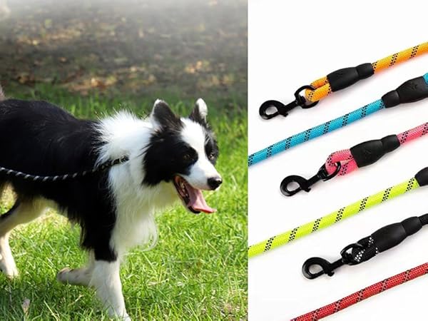Rope Leash with Comfortable Padded Handle and Reflective - Puppy Training Leash for Medium Large Dog
