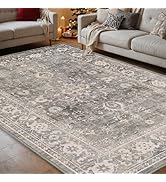 DEXI Area Rug 4x6, Washable Rugs Living Room Dining Room Bedroom Bedside, Non-Shedding Low-Pile S...