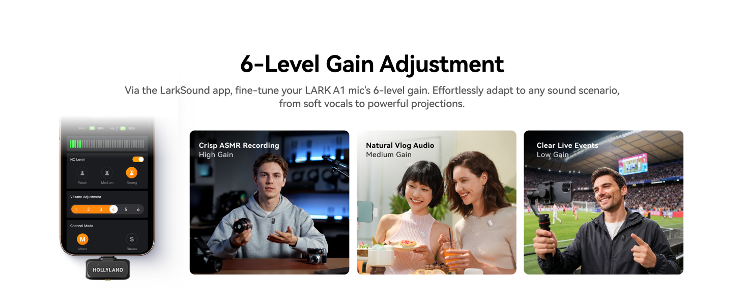 6-Level Gain Adj