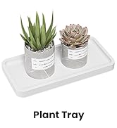 Plant Tray