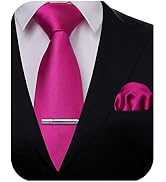 HISDERN Mens Ties Solid Color Wedding Ties and Pocket Square Neckties Clip Sets Business Formal S...