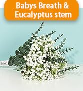 Yastouay 18 Pcs Babys Breath Artificial Flowers Bluk with Faux Eucalyptus Stems Leaves, Gypsophil...