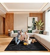 Ehayx Black 5x7 Area Rugs for Living Room, Soft Fluffy Large Rug for Bedroom, Shag Non-Slip Carpe...