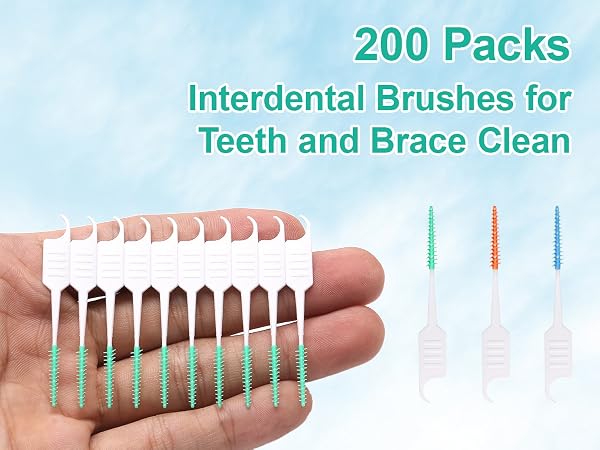 Dental Floss Picks