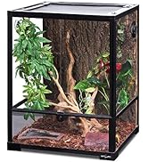 REPTI ZOO Reptile Glass Terrarium, 18" x 18" x 24" Front Opening with Double Hinge Door & Top Scr...