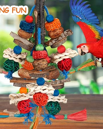 bird toys