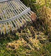 WORKPRO 18 inch Wide Head Leaf Rake with 6FT Handle