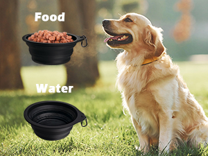 dog collapsible water bowls