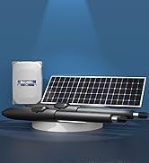 Blütezeit Automatic Dual Swing Gate Opener Kit – Heavy Duty Linear Actuator Arms with Solar Panel...