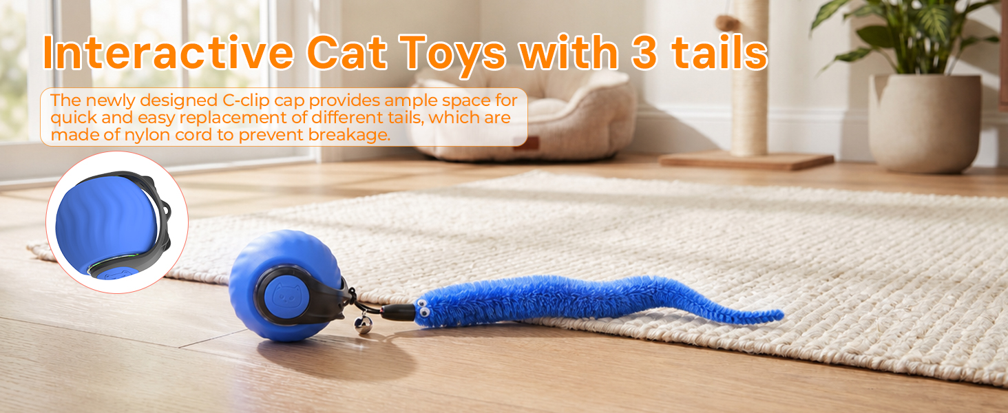 cat toy moving