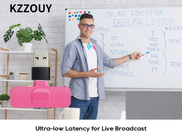 microphone for podcast Broadcast best mic for content creators small pink microphone