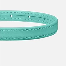 a collar