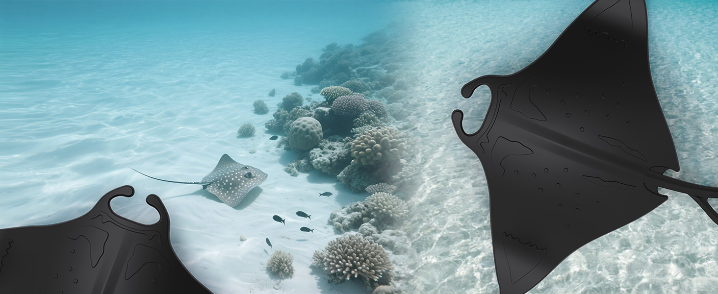 Inspired by the Sea, Detailed Like a Ray