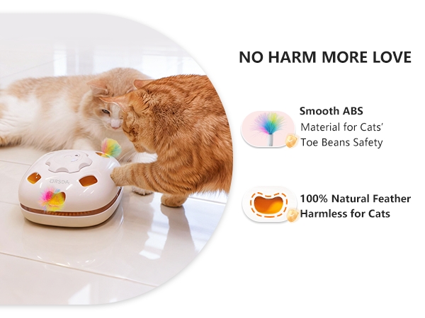 cat toys interactive