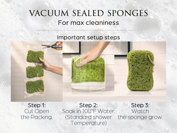 Body Scrubber