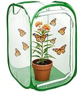 Butterfly House Habitat Insect Cage Clear See Through Pop-up Collapsible Butterfly Enclosure-Medi...