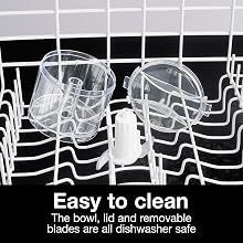 dishwasher safe