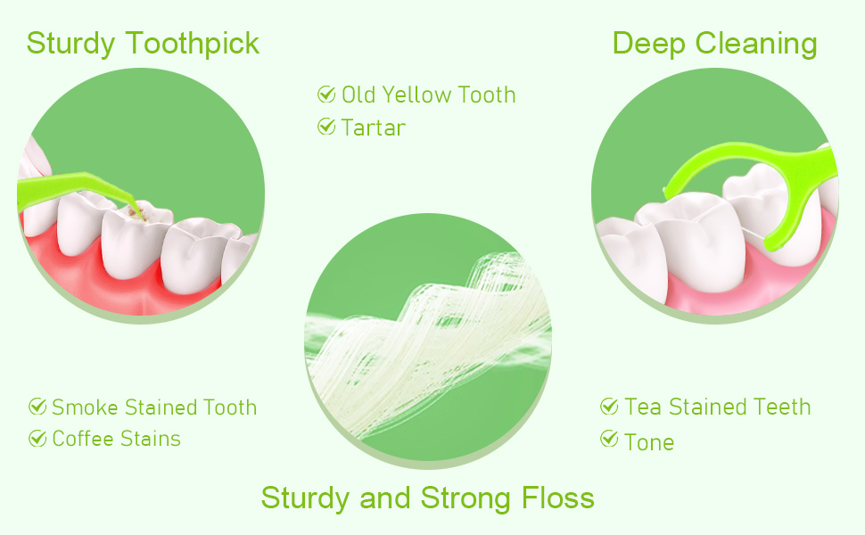floss picks for teeth