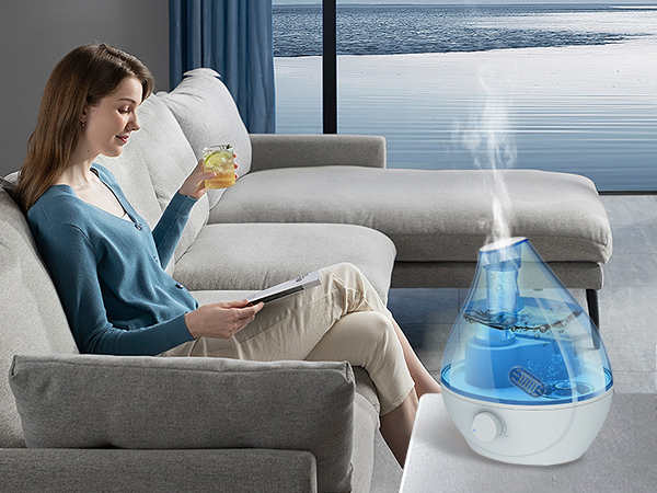 demineralization cartridge for humidifier