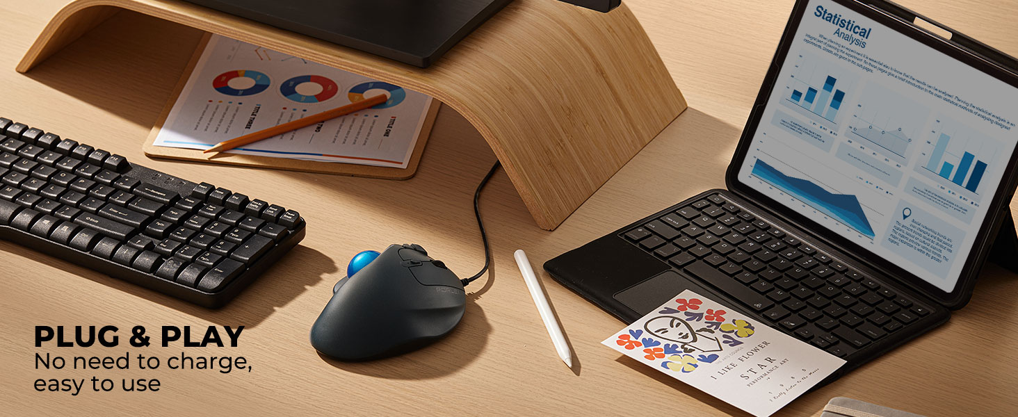rollerball mouse