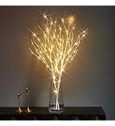 LITBLOOM Lighted White Twig Branches 32IN 100 LED with Timer Battery Operated, Artificial Tree Br...