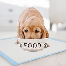 Dog Pad for under Food and Water Bowl