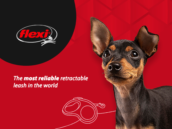 FLEXI New Classic