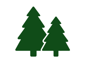 tree free toilet paper