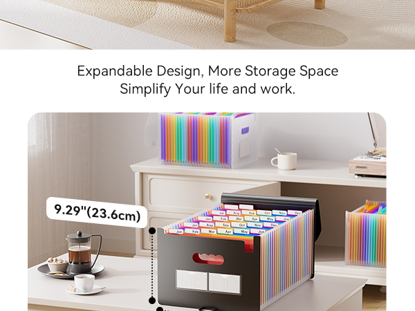 file organizer