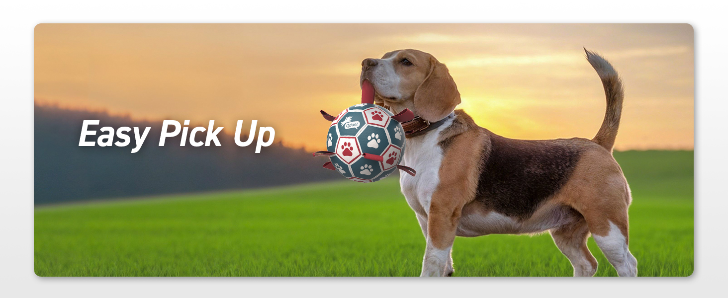 dog balls with tabs