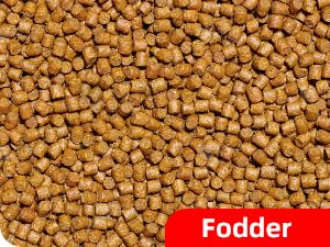 fodder