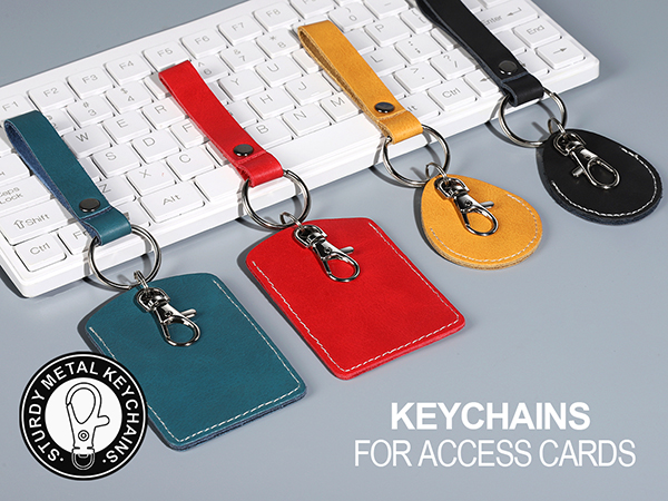 Keychain for Keys and Cards