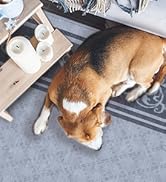rv mat