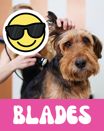 blades