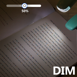 book light for bed