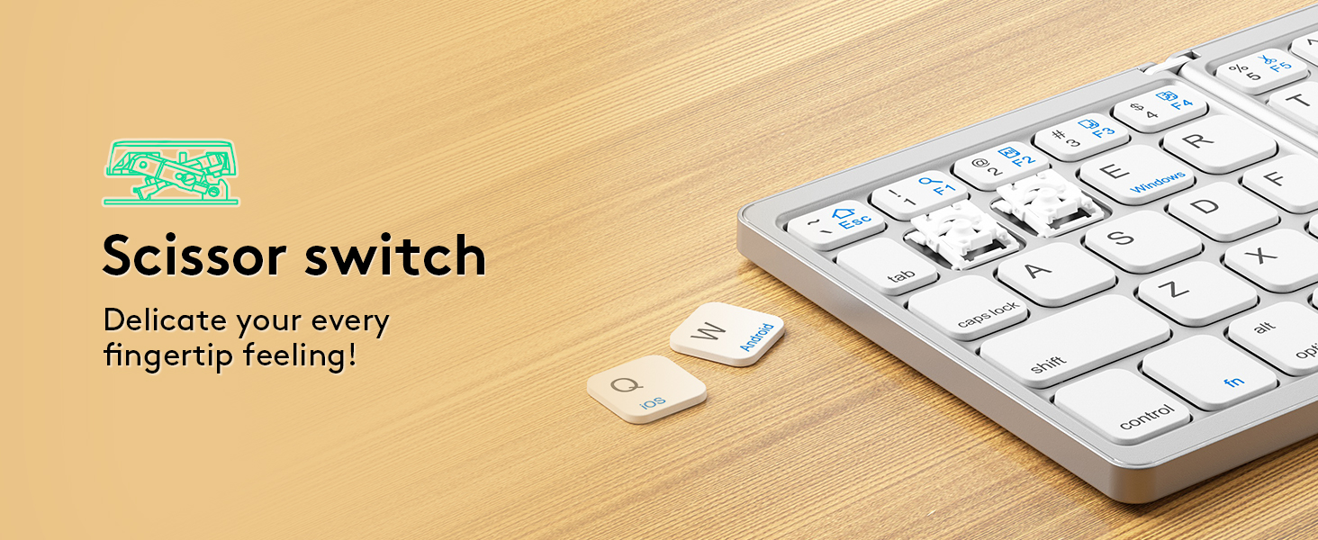 Scissor Switch