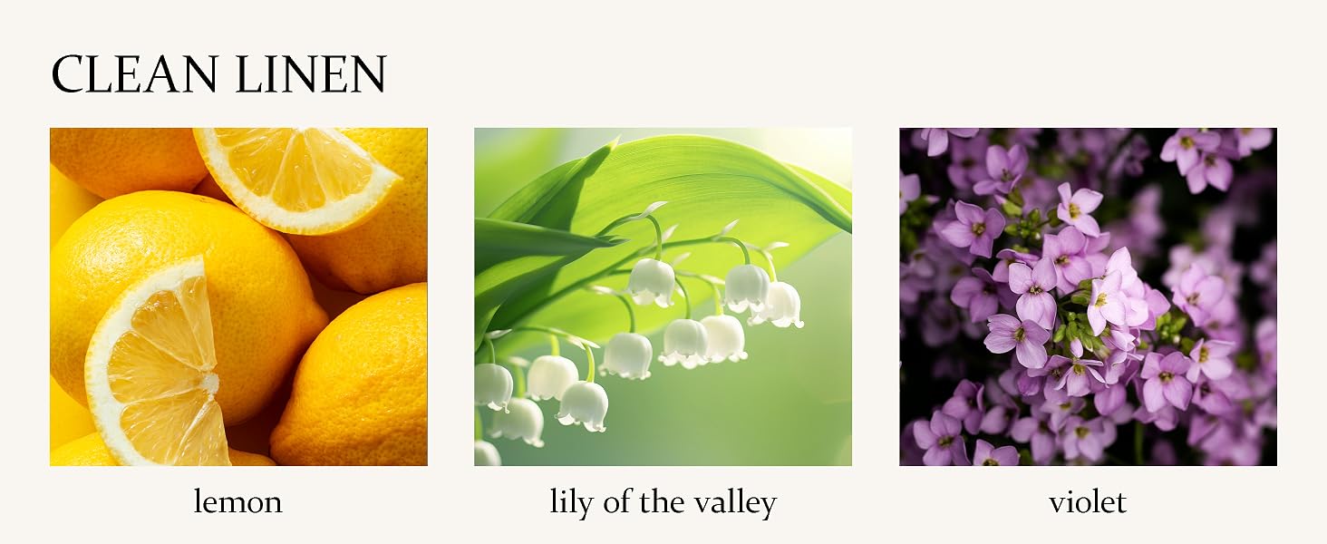 reed diffuser set
