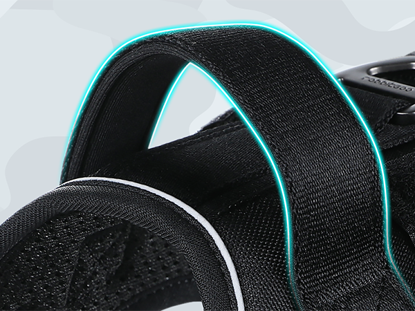 dog harness