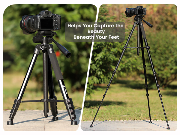 73 inch or 19 inch tall camera tripod