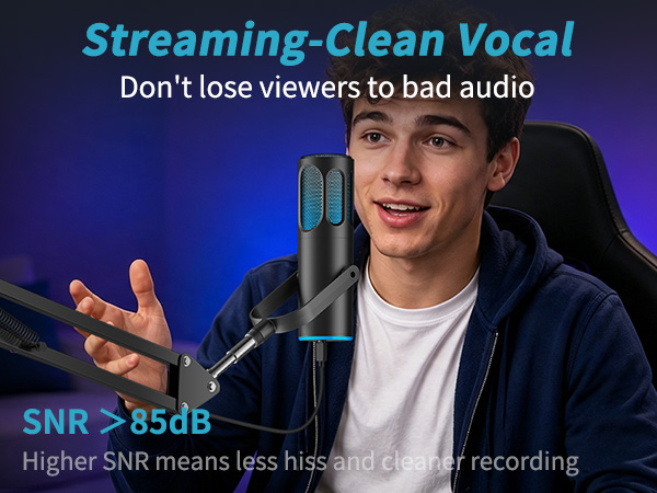 Streaming-Clean Vocal