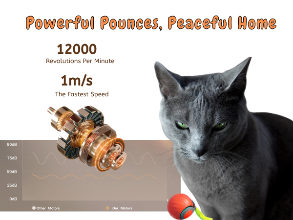 moving cat toy