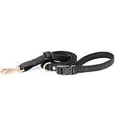The DOGISTRY - City Dog Leash - Black - Award-Winning Adjustable Hands-Free Design - Luxe Rose Go...