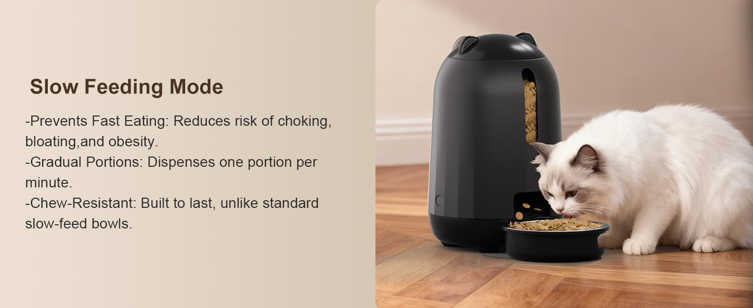 automatic cat feeder wifi small pet feeder automatic pet feeder cat automatic feeder